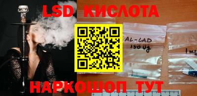 эйфоретик Гусев